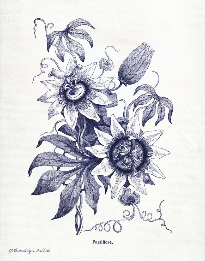 Indigo Botanical I art print by Gwendolyn Babbitt for $57.95 CAD