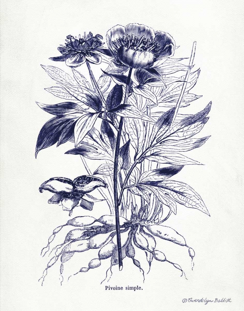 Indigo Botanical III art print by Gwendolyn Babbitt for $57.95 CAD