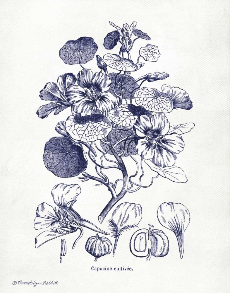 Indigo Botanical IV art print by Gwendolyn Babbitt for $57.95 CAD