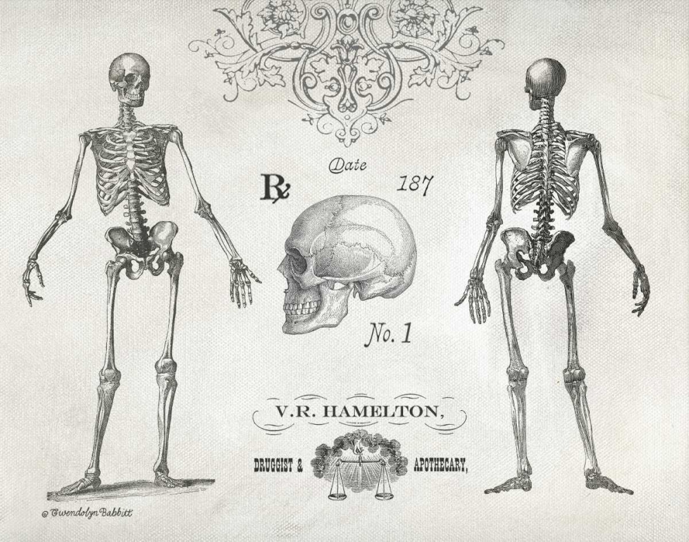 Elegant Skeletons art print by Gwendolyn Babbitt for $57.95 CAD