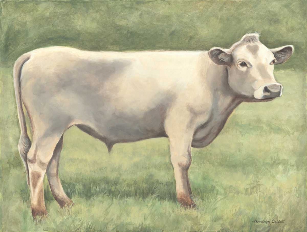 Cow in Field art print by Gwendolyn Babbitt for $57.95 CAD
