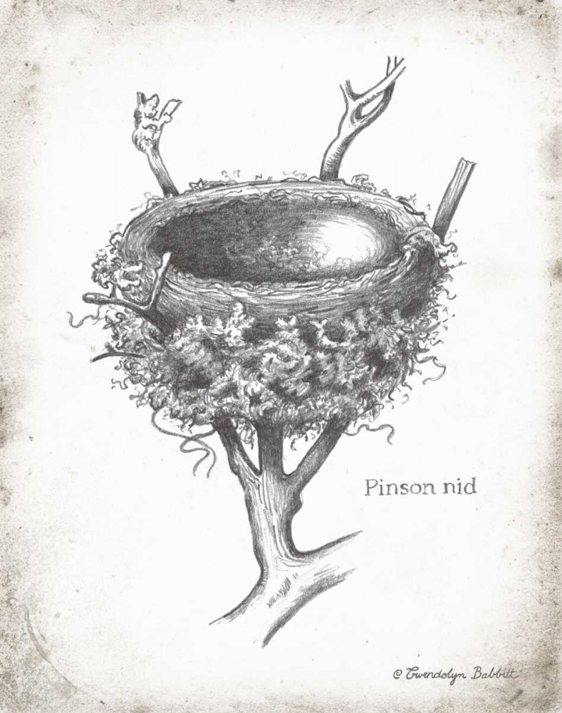 French Bird Nest II art print by Gwendolyn Babbitt for $57.95 CAD