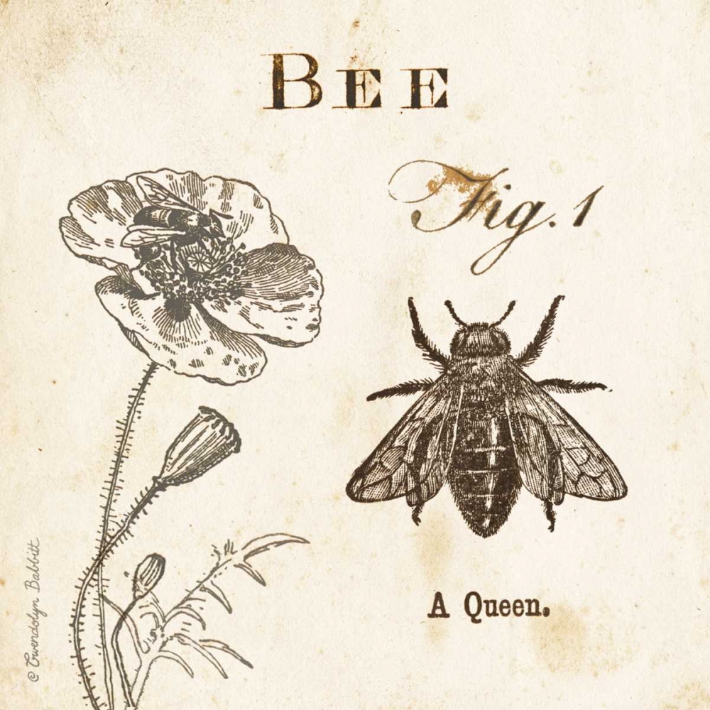 Bee Fig 1 art print by Gwendolyn Babbitt for $57.95 CAD