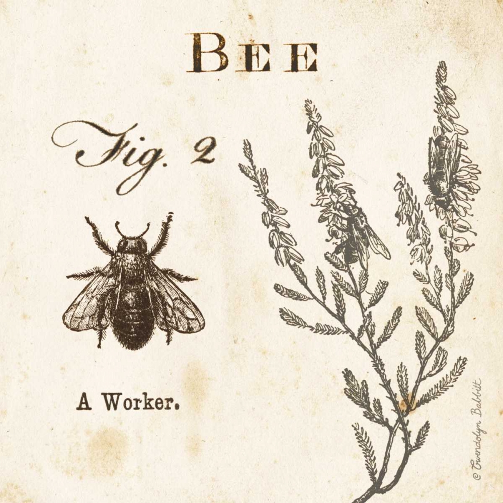 Bee Fig 2 art print by Gwendolyn Babbitt for $57.95 CAD