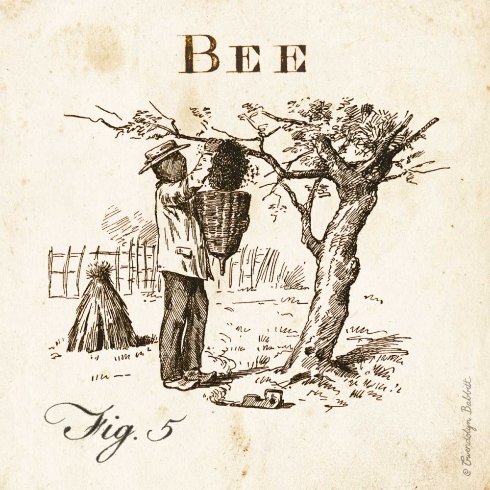 Bee Fig 5 art print by Gwendolyn Babbitt for $57.95 CAD