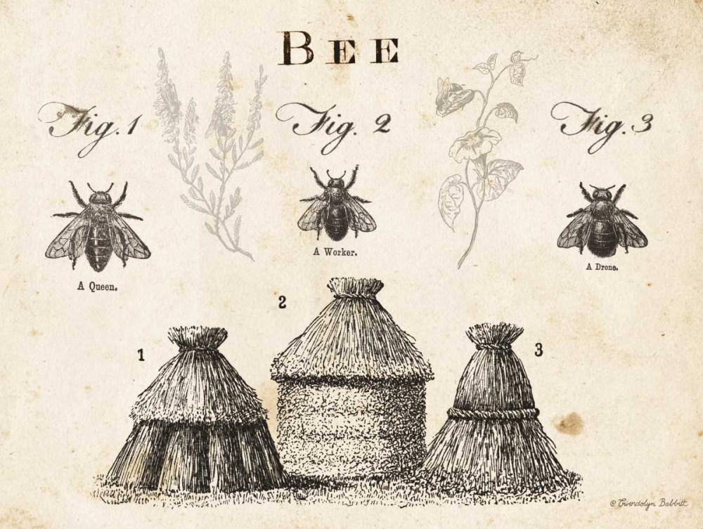 Bee Chart I art print by Gwendolyn Babbitt for $57.95 CAD