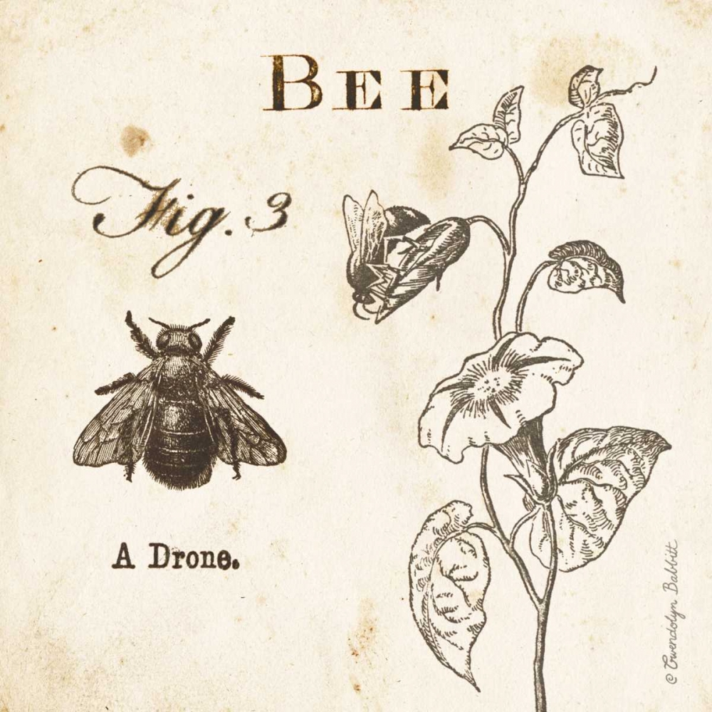 Bee Fig 3 art print by Gwendolyn Babbitt for $57.95 CAD