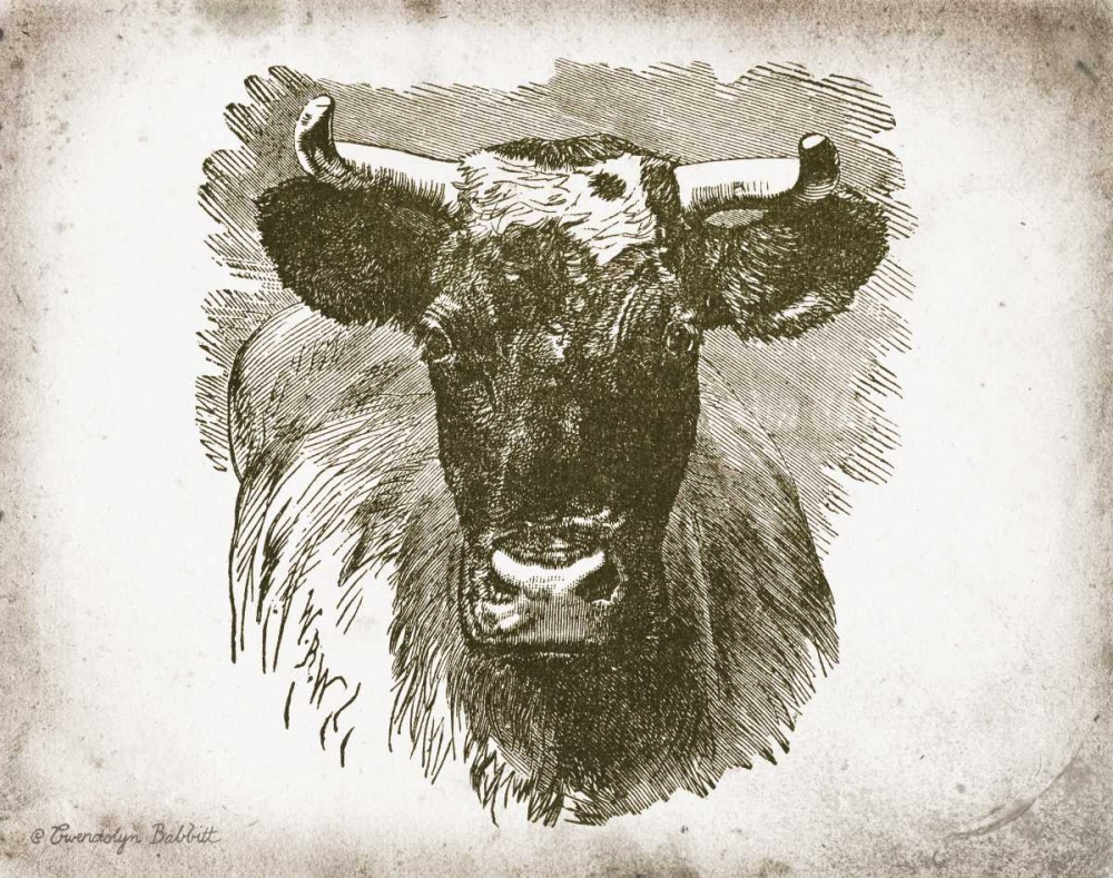 Cow Face I art print by Gwendolyn Babbitt for $57.95 CAD
