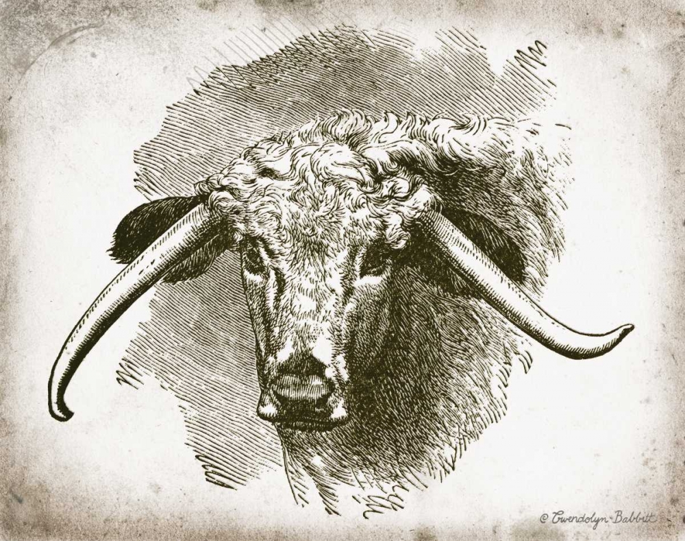 Cow Face II art print by Gwendolyn Babbitt for $57.95 CAD