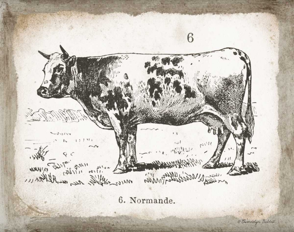 French Cow IV art print by Gwendolyn Babbitt for $57.95 CAD