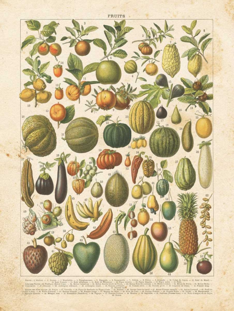 French Fruit Chart art print by Gwendolyn Babbitt for $57.95 CAD