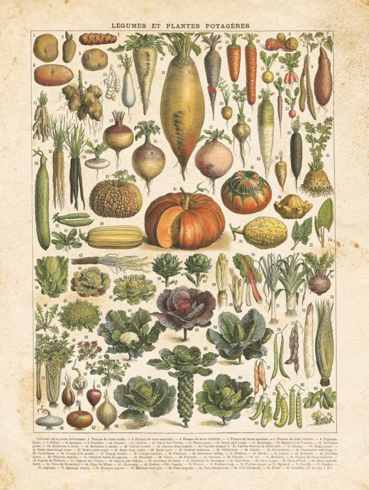 French Vegetable Chart art print by Gwendolyn Babbitt for $57.95 CAD