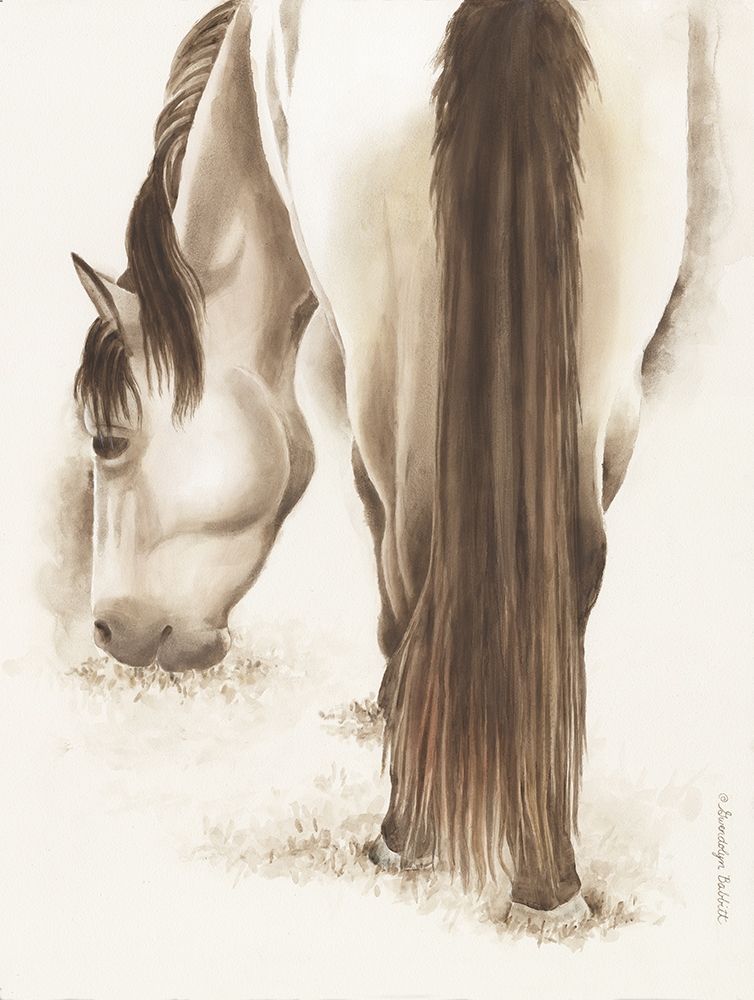 Lovely White Horse art print by Gwendolyn Babbitt for $57.95 CAD