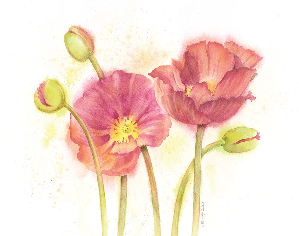 Happy Poppies art print by Gwendolyn Babbitt for $57.95 CAD