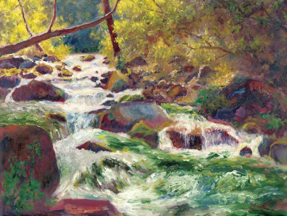 Mountain Stream art print by Carol Bailey for $57.95 CAD