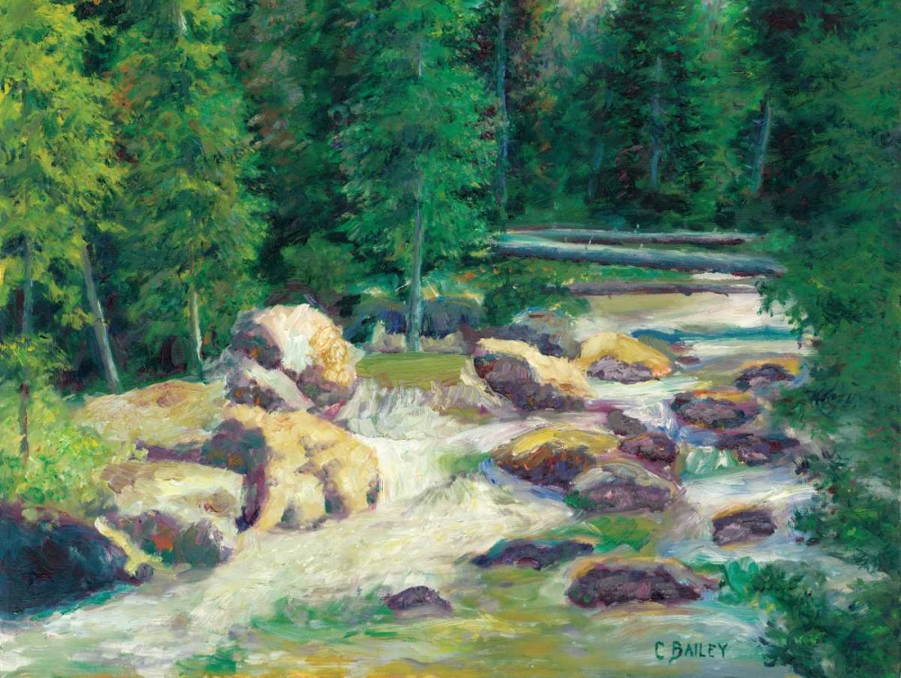 Cascading Stream art print by Carol Bailey for $57.95 CAD