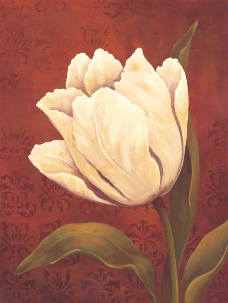 Tulip on Red art print by Ella Belamar for $57.95 CAD