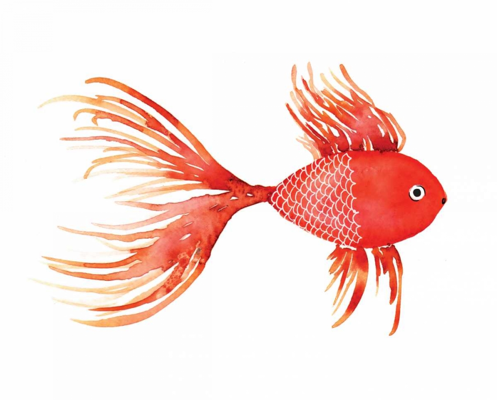 Deep Sea Red Fish art print by Sara Berrenson for $57.95 CAD