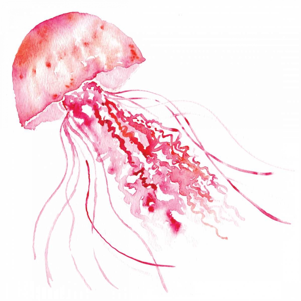 Pink Jellyfish art print by Sara Berrenson for $57.95 CAD