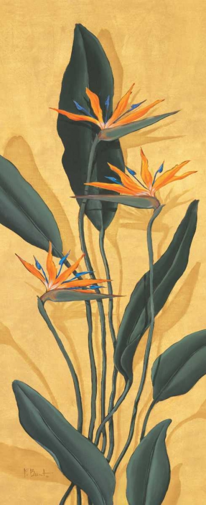 Bird of Paradise art print by Paul Brent for $57.95 CAD