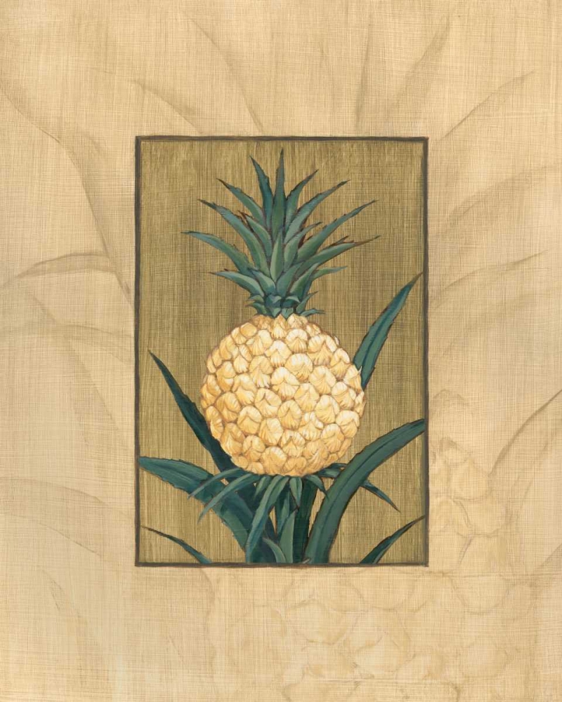 Sugar Loaf Pineapple art print by Paul Brent for $57.95 CAD