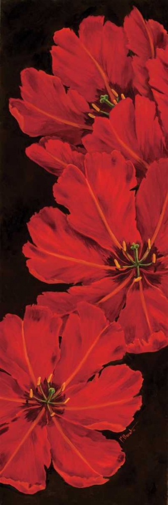 Bella Grande Tulips art print by Paul Brent for $57.95 CAD