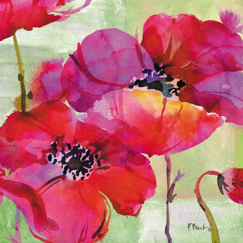 Amalfi Poppies art print by Paul Brent for $57.95 CAD