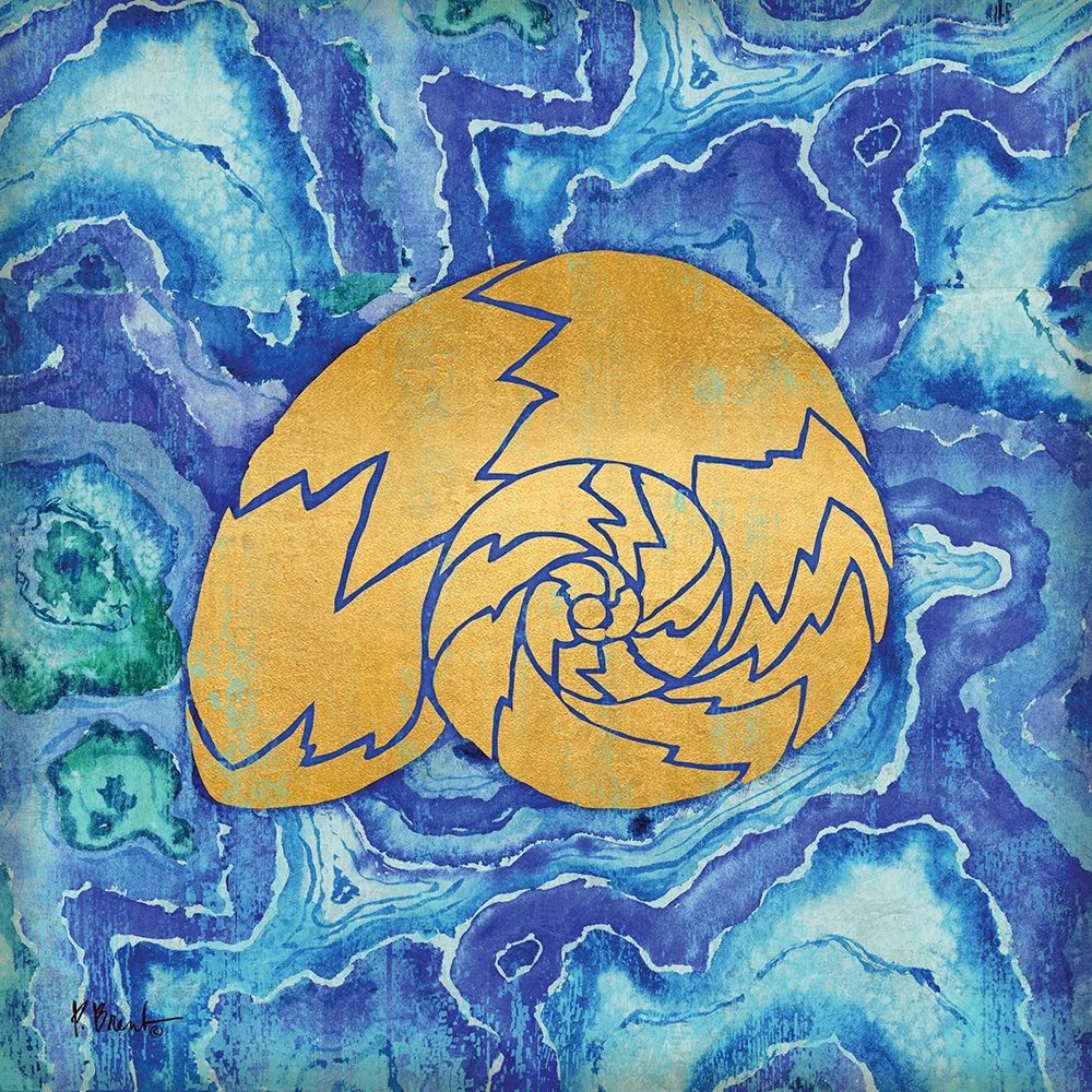 Agate Shell IV art print by Paul Brent for $57.95 CAD