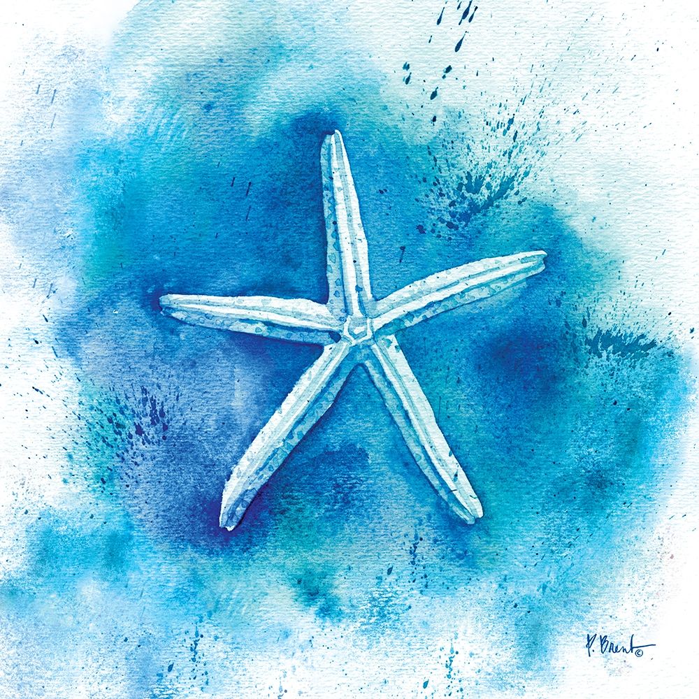 Aqueous Shells II art print by Paul Brent for $57.95 CAD