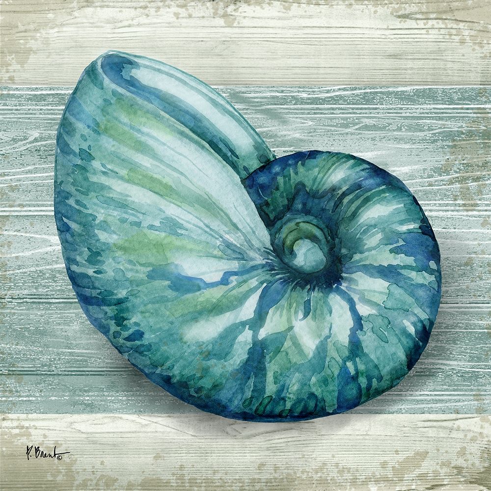 Northpoint Shells III art print by Paul Brent for $57.95 CAD