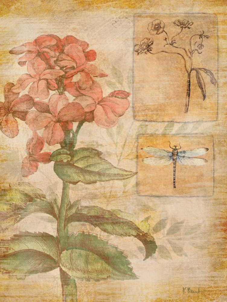 Flora Dragonfly art print by Paul Brent for $57.95 CAD