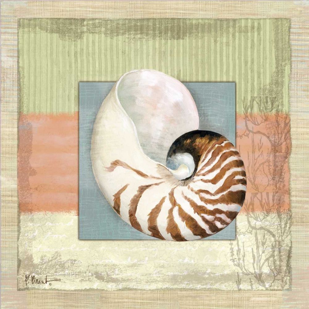 Montego Nautilus art print by Paul Brent for $57.95 CAD
