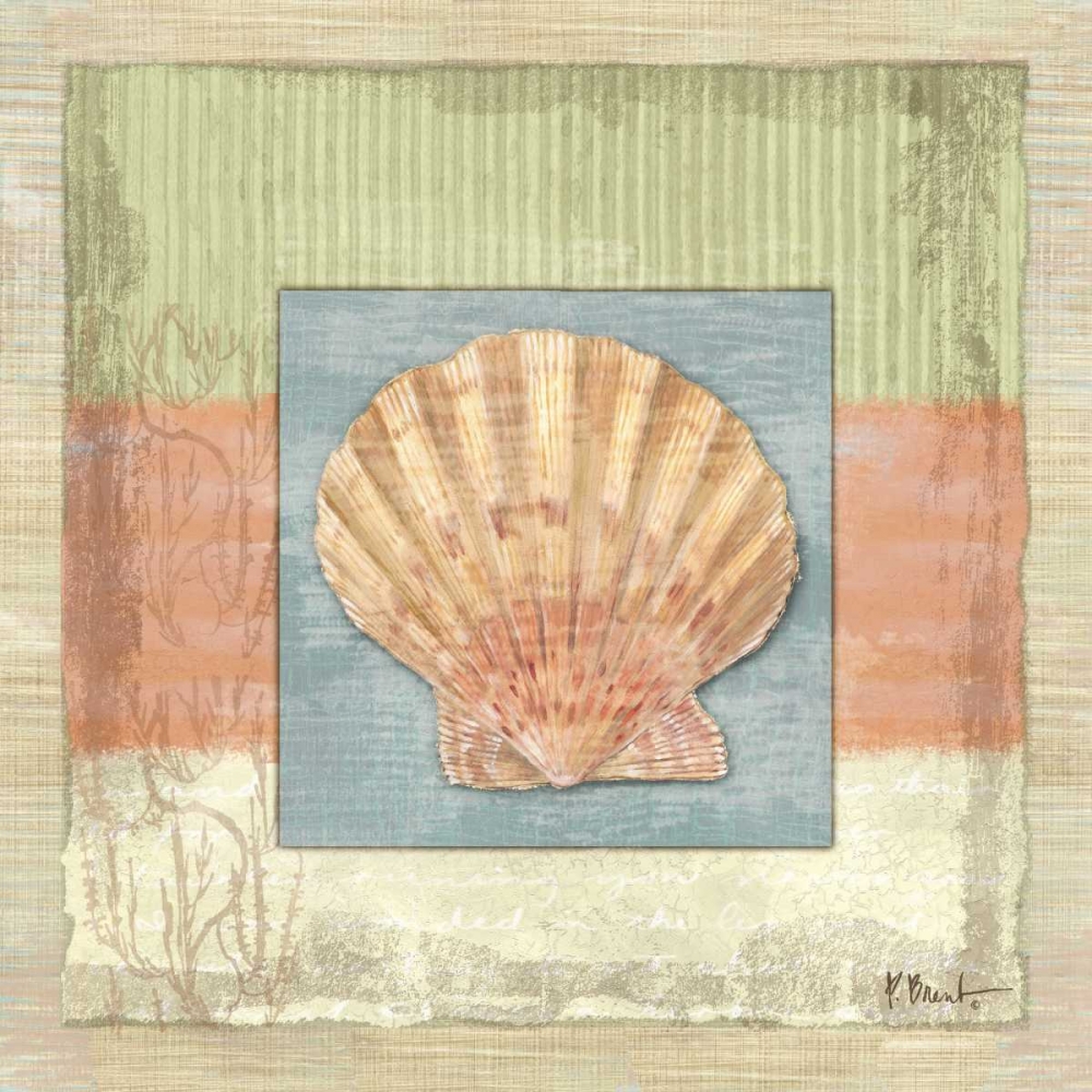 Montego Scallop art print by Paul Brent for $57.95 CAD