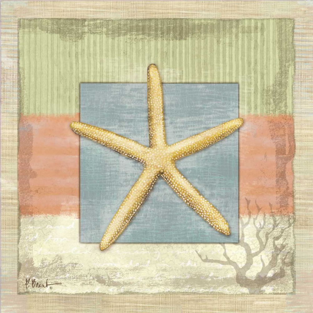 Montego Starfish art print by Paul Brent for $57.95 CAD