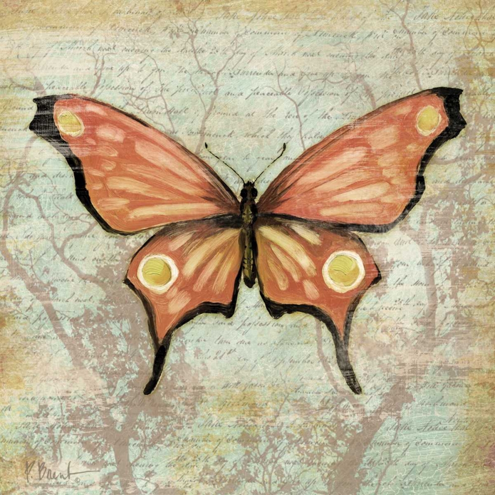 Vintage Butterflies I art print by Paul Brent for $57.95 CAD
