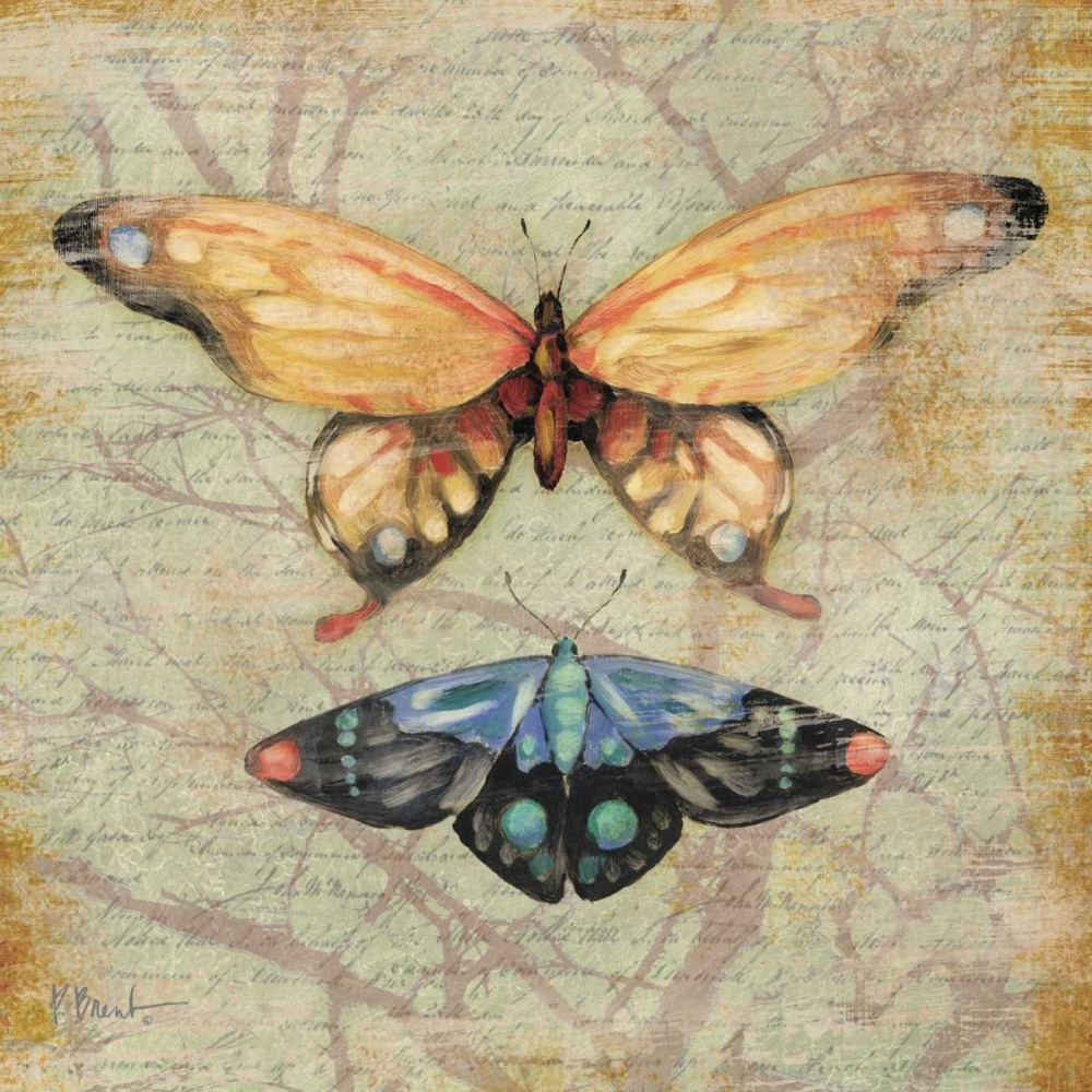 Vintage Butterflies II art print by Paul Brent for $57.95 CAD