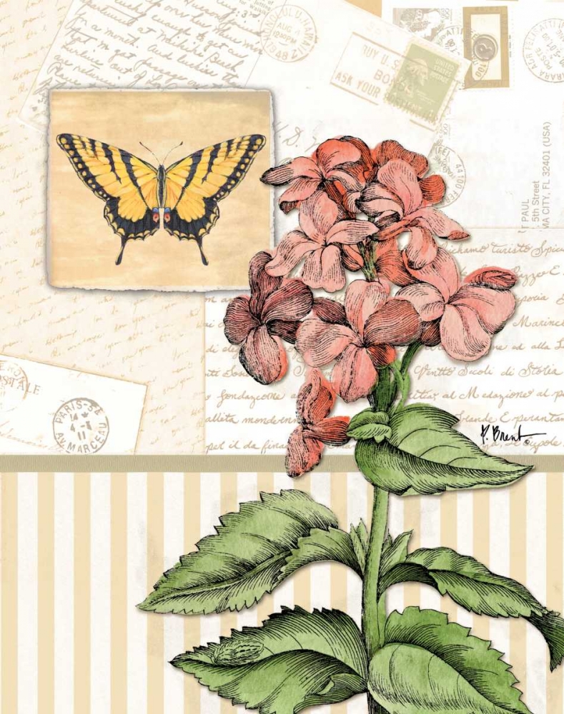 Botanical Collage I art print by Paul Brent for $57.95 CAD