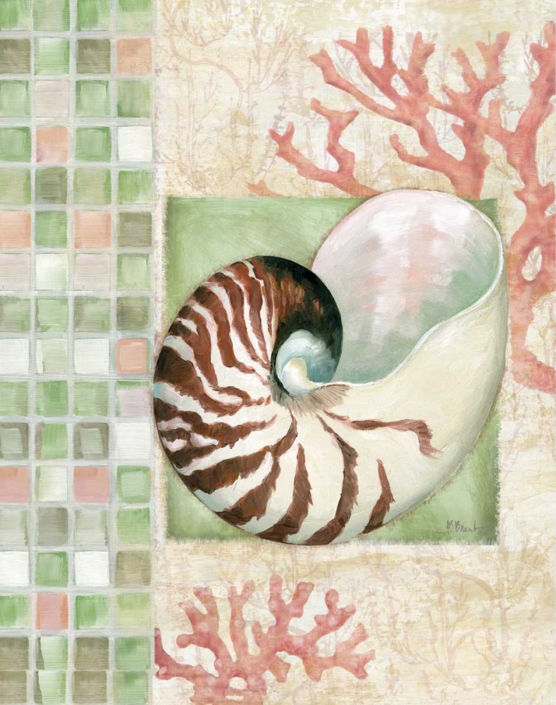 Mosaic Shell Collage I art print by Paul Brent for $57.95 CAD