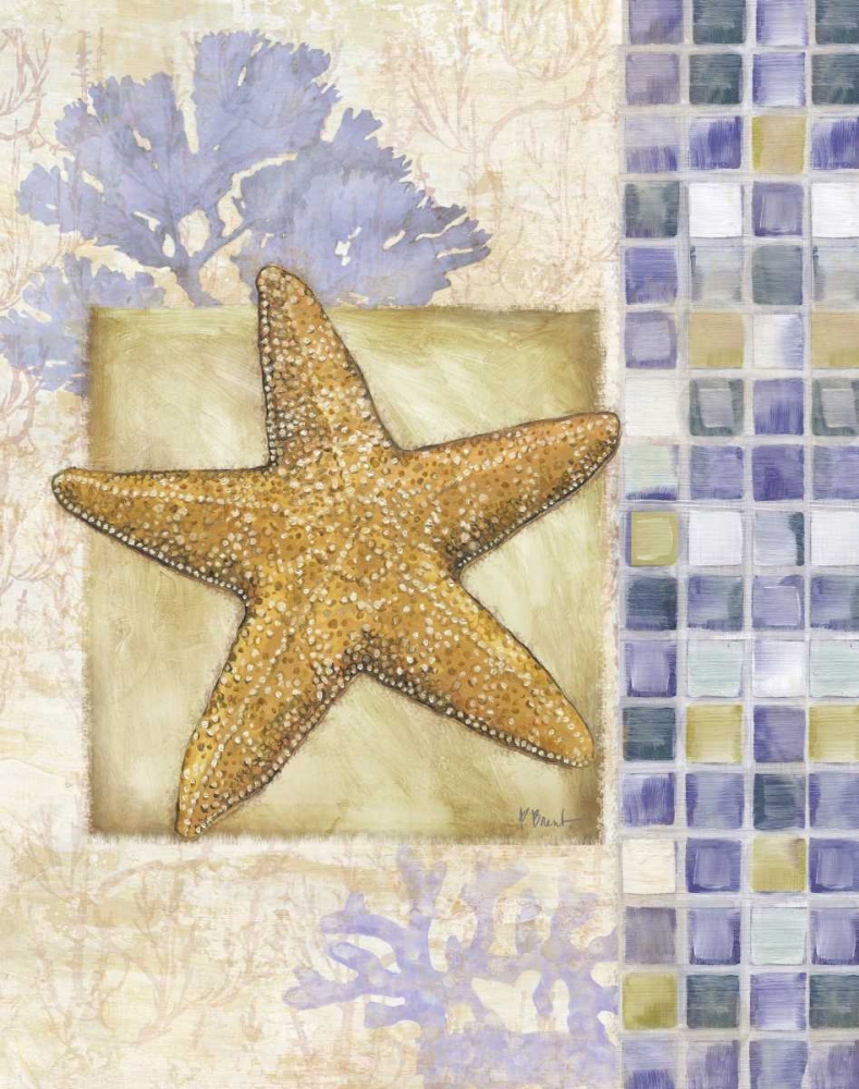 Mosaic Shell Collage II art print by Paul Brent for $57.95 CAD