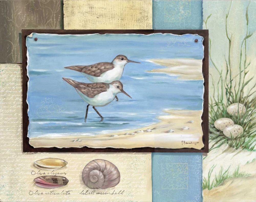Sandpiper Collage I art print by Paul Brent for $57.95 CAD