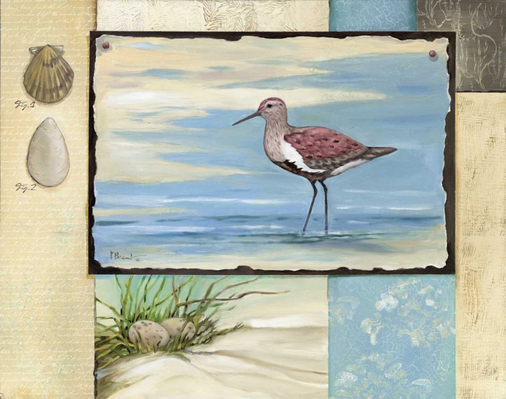 Sandpiper Collage II art print by Paul Brent for $57.95 CAD