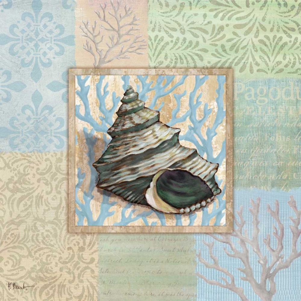 Oceanic Shell Collage II art print by Paul Brent for $57.95 CAD