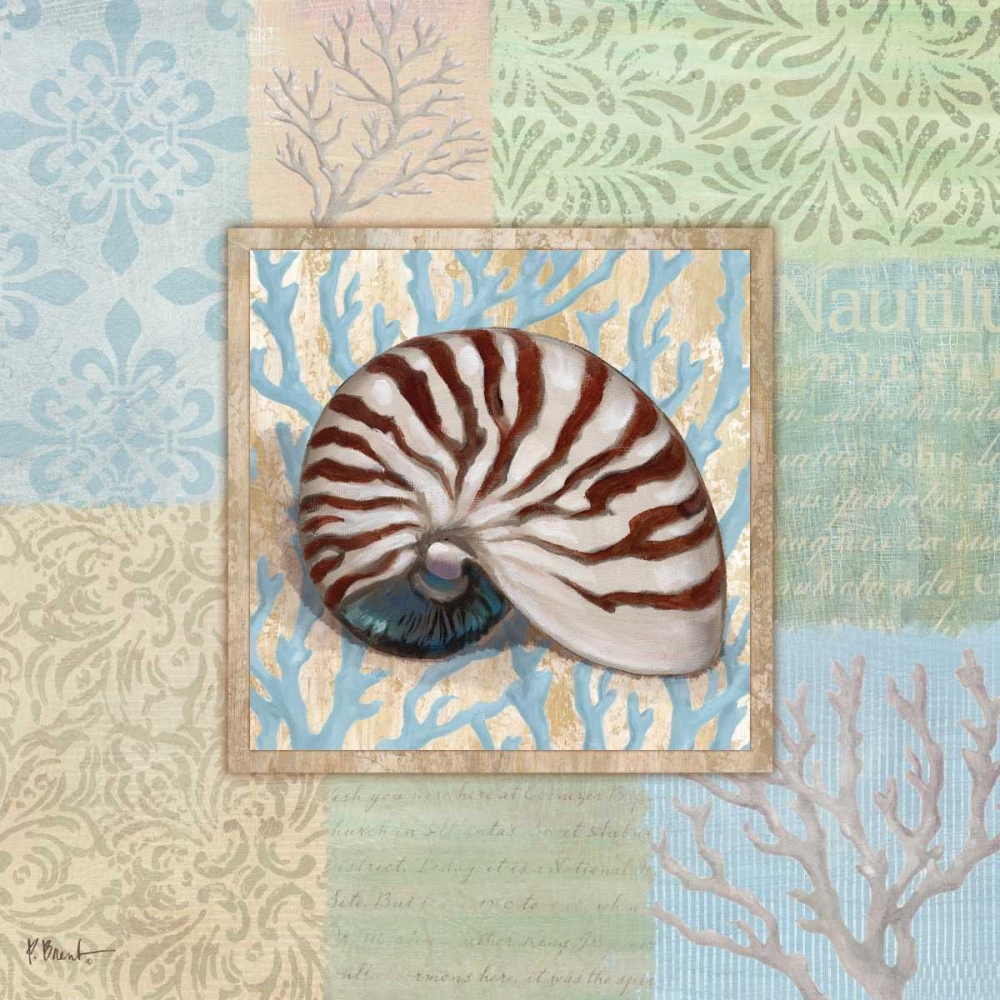 Oceanic Shell Collage III art print by Paul Brent for $57.95 CAD
