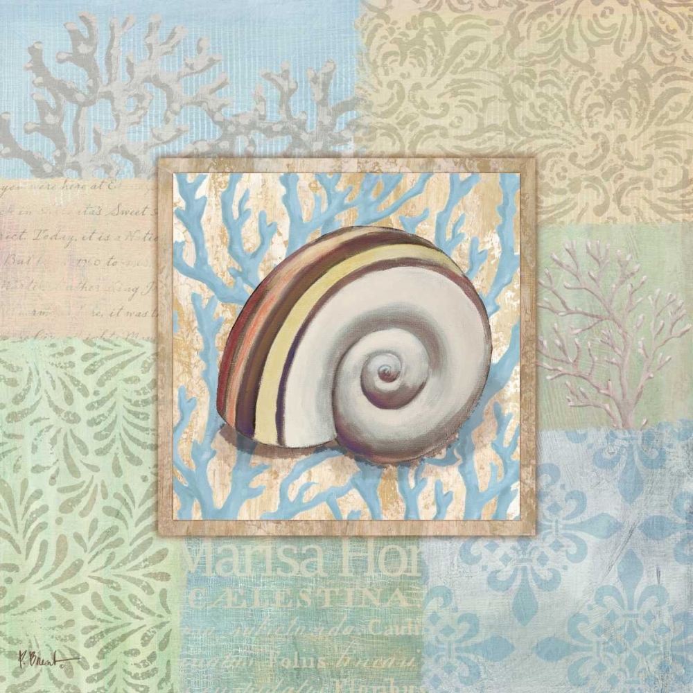 Oceanic Shell Collage IV art print by Paul Brent for $57.95 CAD