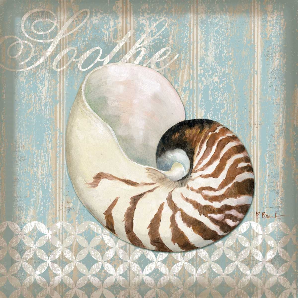 Spa Shells III art print by Paul Brent for $57.95 CAD
