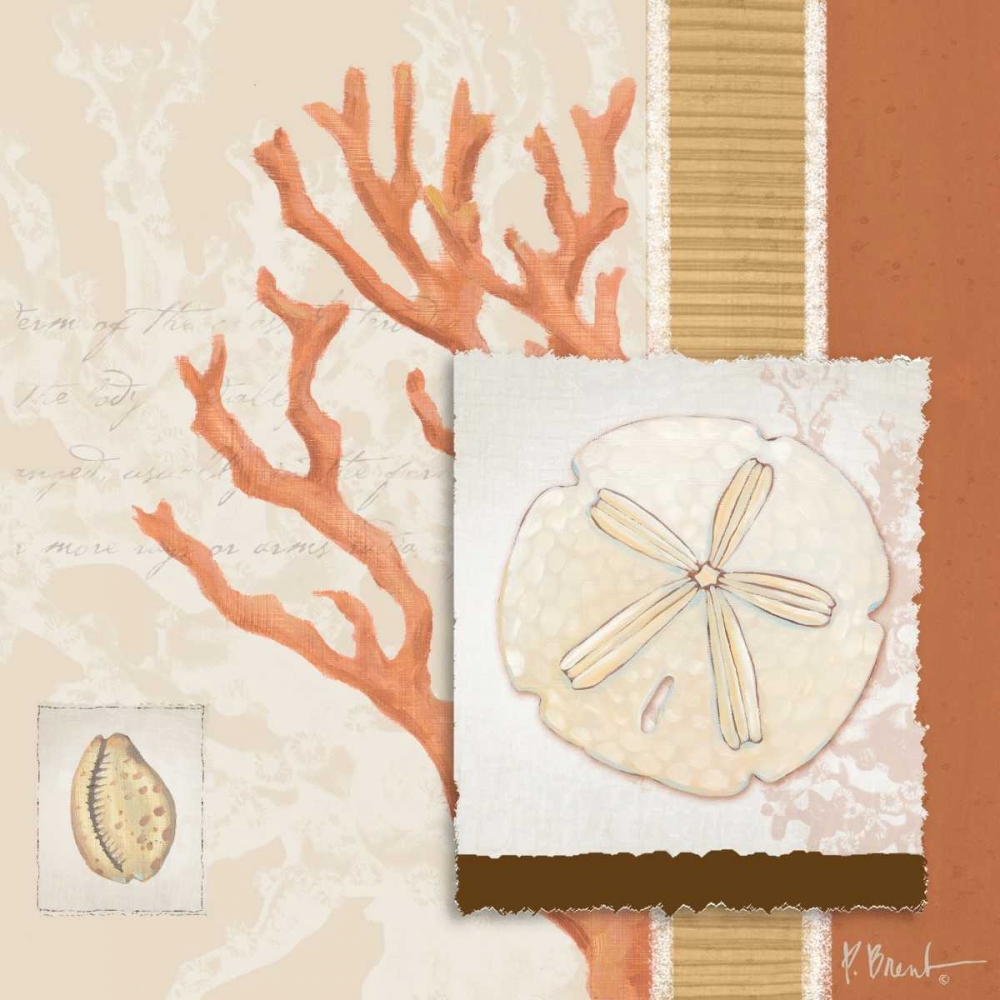 Aquarius Coral Sq III art print by Paul Brent for $57.95 CAD