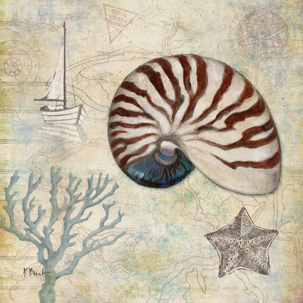 Discovery Shell I art print by Paul Brent for $57.95 CAD