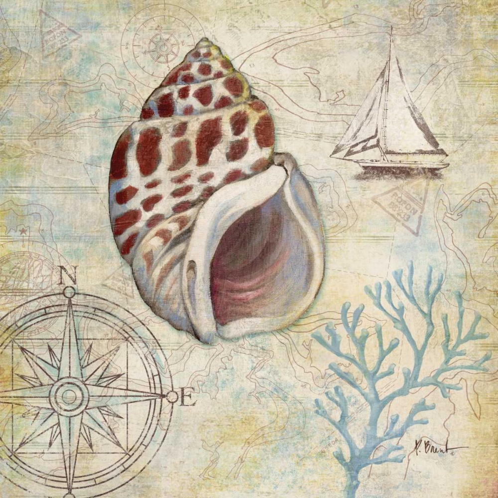 Discovery Shell IV art print by Paul Brent for $57.95 CAD