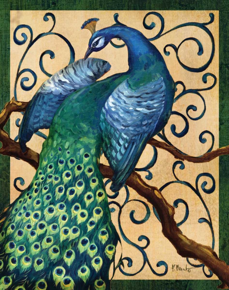 Majestic Peacock II art print by Paul Brent for $57.95 CAD