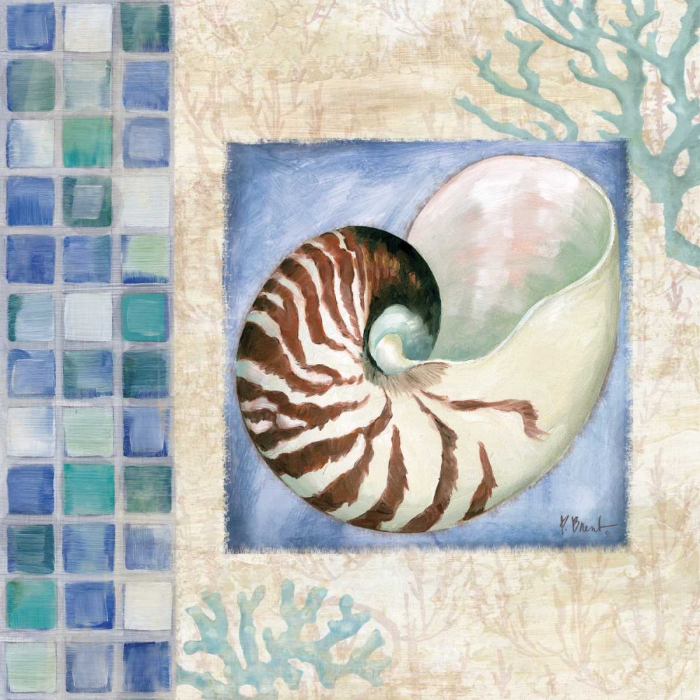 Mosaic Shell Collage V art print by Paul Brent for $57.95 CAD